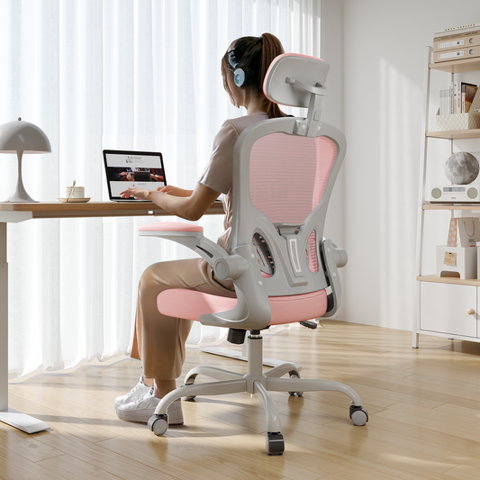 Ergonomic Office Chair Home High Back Desk Chair for Long Hours Comfortable Grey+Pink