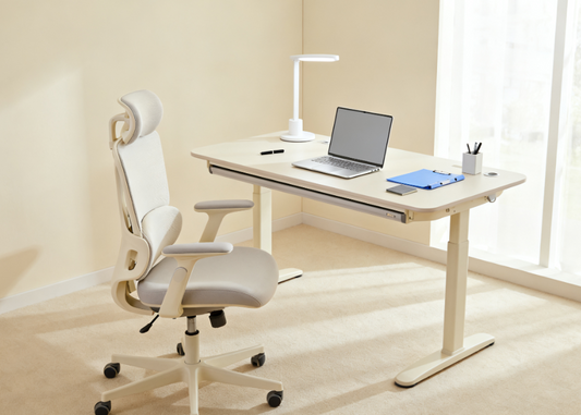 Why Home Office Chair Ergonomic Desk Chair Is a Must for Your Home Workspace?