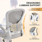 Office Chair|Ergonomic Desk Chairs 330LBS Capacity | Flip-up Armrests,Mesh Computer Chair,High Back,Comfy Work,Adjustable Lumbar Support