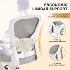 Office Chair|Ergonomic Desk Chairs 330LBS Capacity | Flip-up Armrests,Mesh Computer Chair,High Back,Comfy Work,Adjustable Lumbar Support